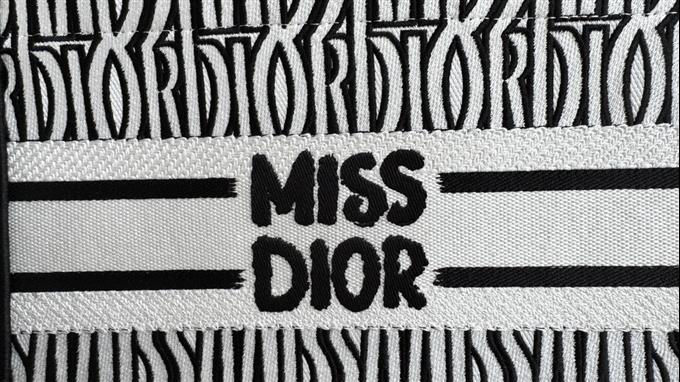 2025228Y550P212157102