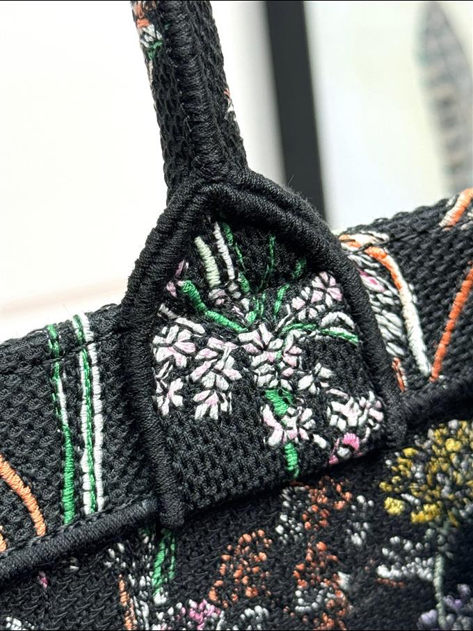 2025228Y580P203753719