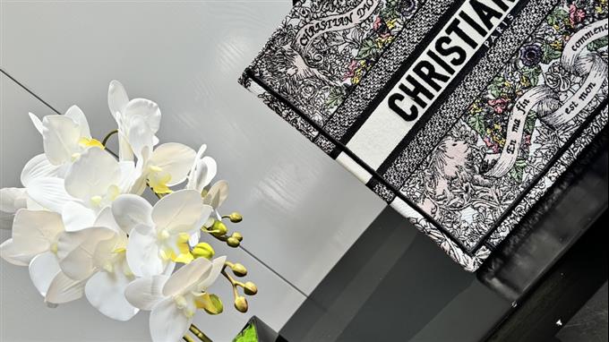 2025228Y580P203810227