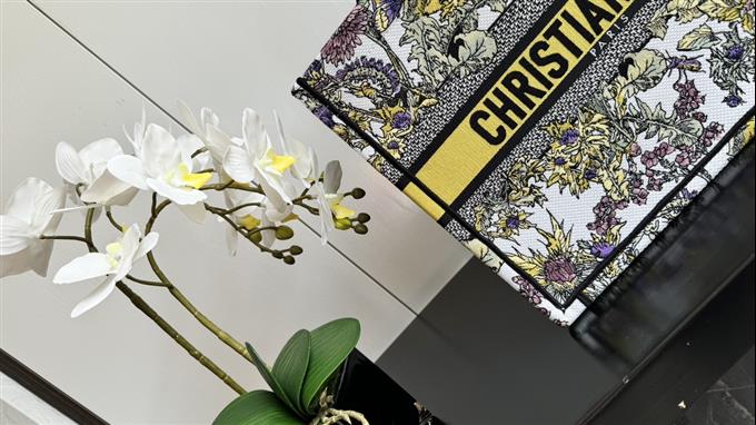 2025228Y580P203812369