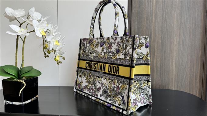 2025228Y580P203812385