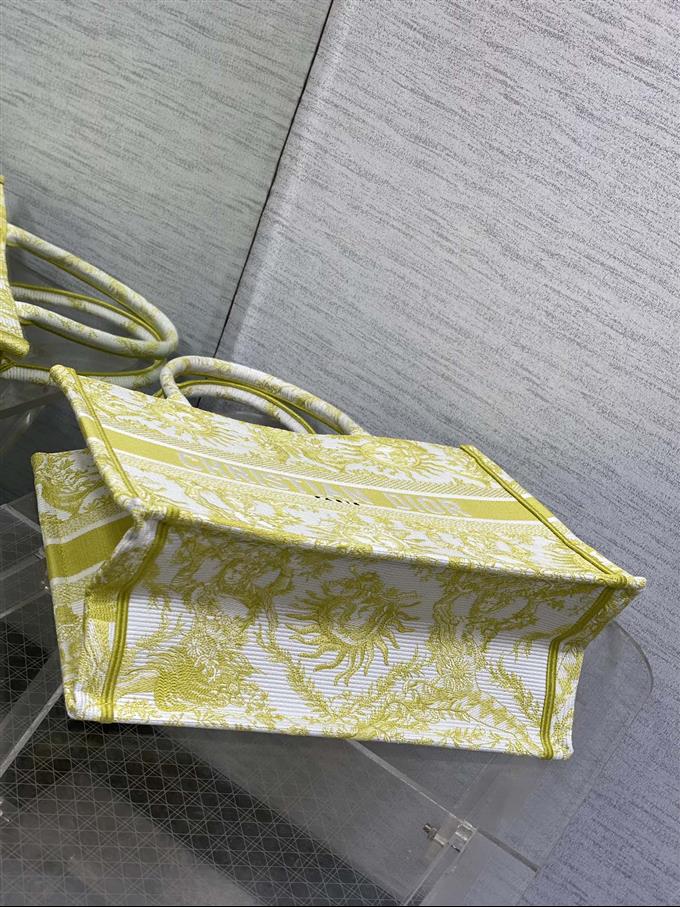 2025228Y580P203813561