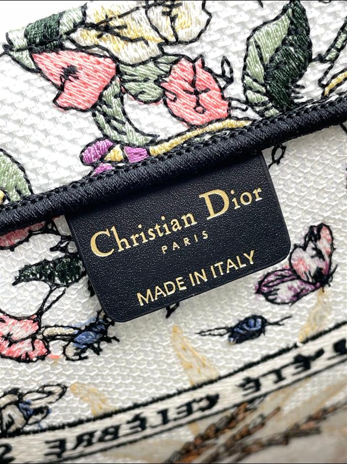 2025228Y600P203755586