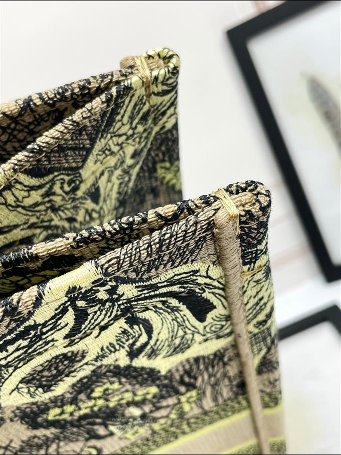 2025228Y600P203756105