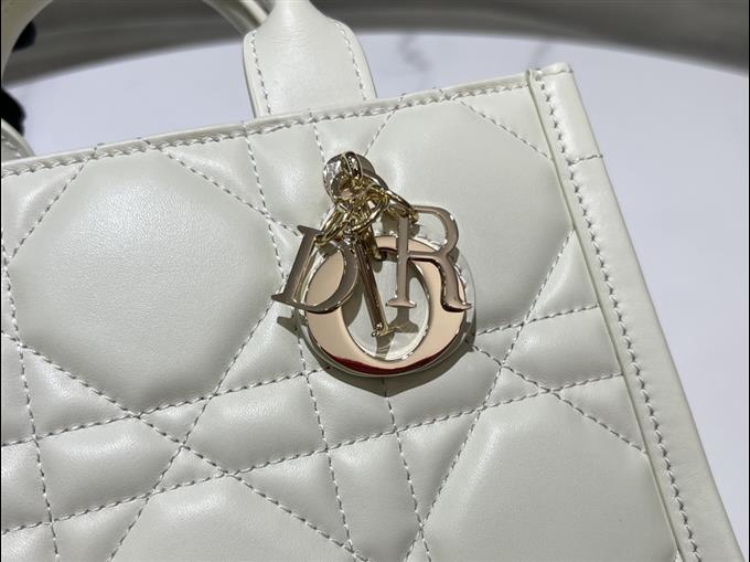 2025228Y600P203821878