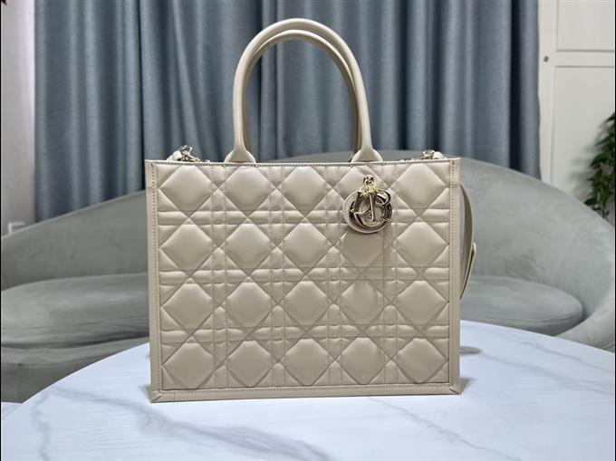 2025228Y800P203830788