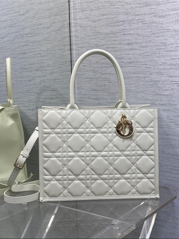 2025228Y800P212148526