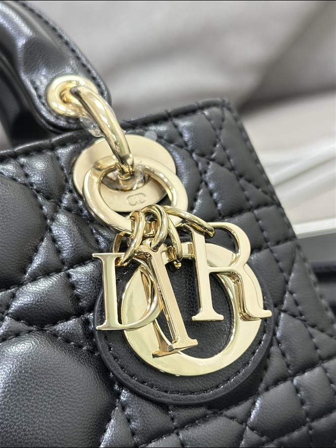 2025228Y600P204510149