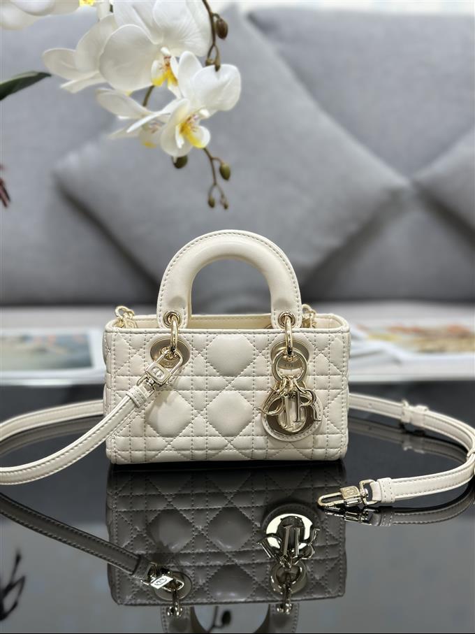 2025228Y600P204510213