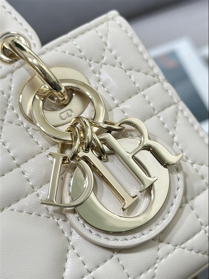 2025228Y600P204510293