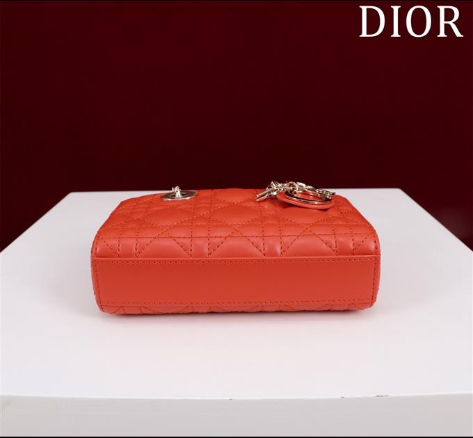 2025228Y650P204350354