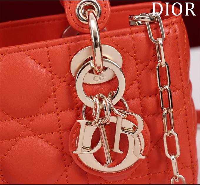 2025228Y650P204350401