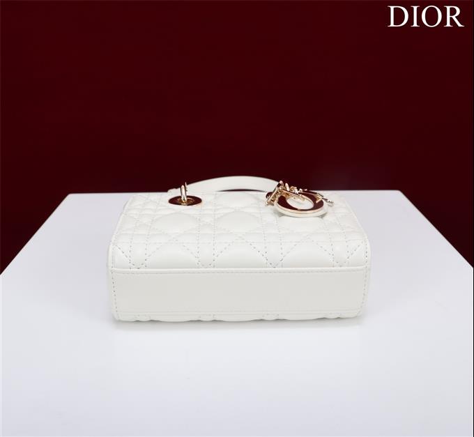 2025228Y650P204351335