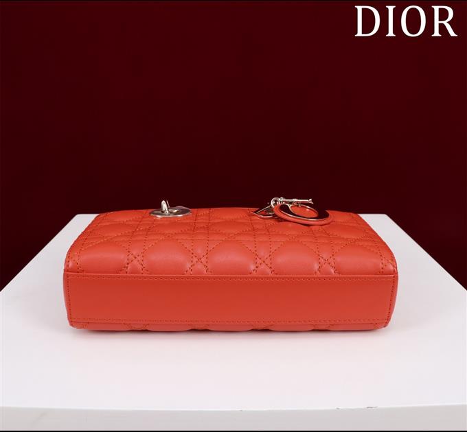 2025228Y700P204358687