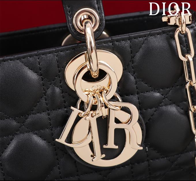 2025228Y700P204359445