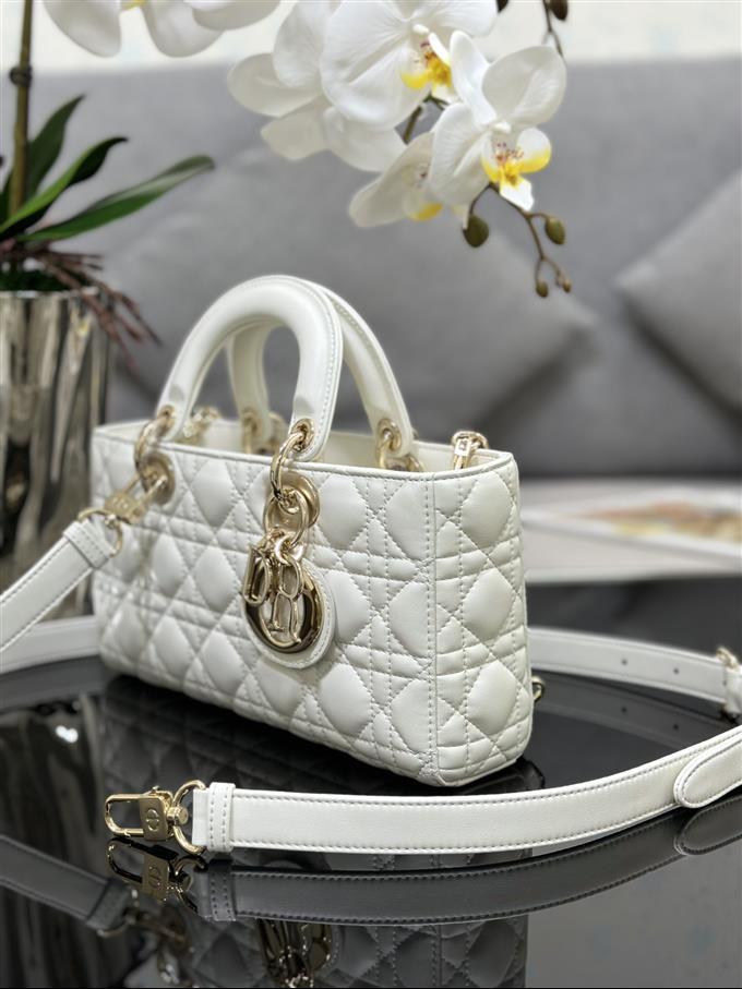 2025228Y700P204513223