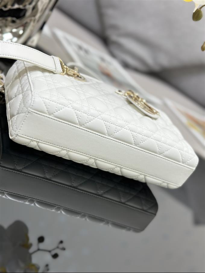 2025228Y700P204513239