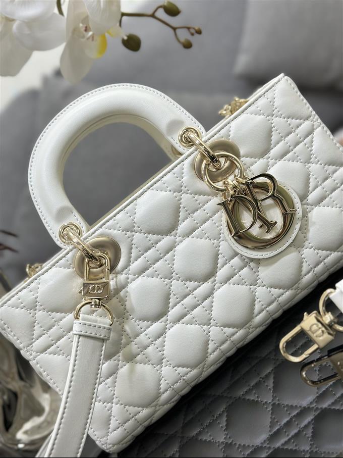 2025228Y700P204513254