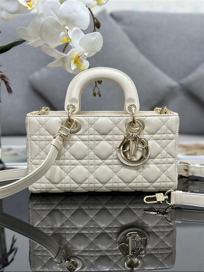 2025228Y700P204513474