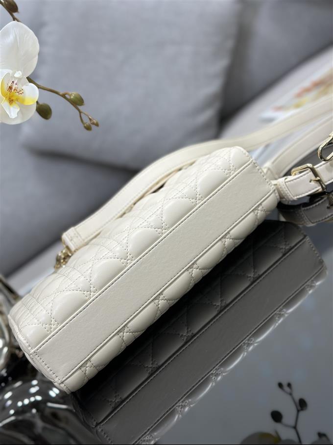 2025228Y700P204513521