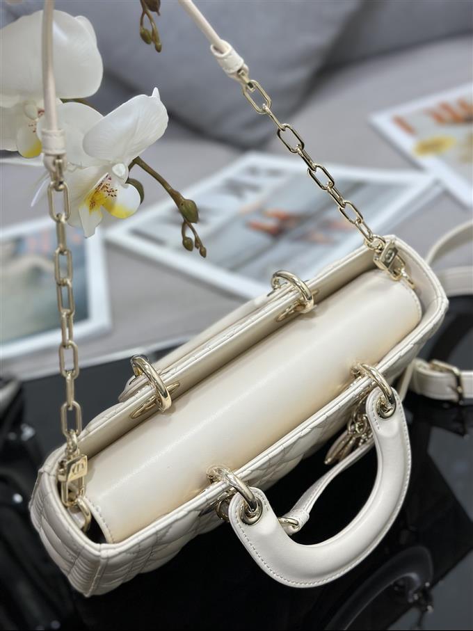 2025228Y700P204513568