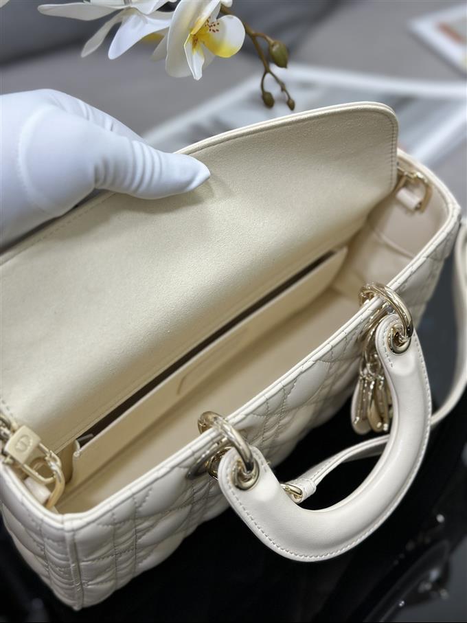 2025228Y700P204513584