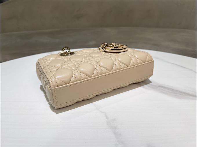 2025228Y700P204515281