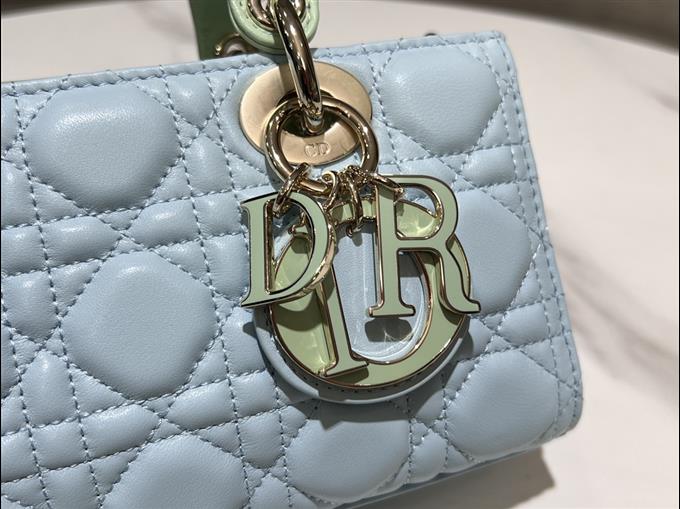 2025228Y700P204515388