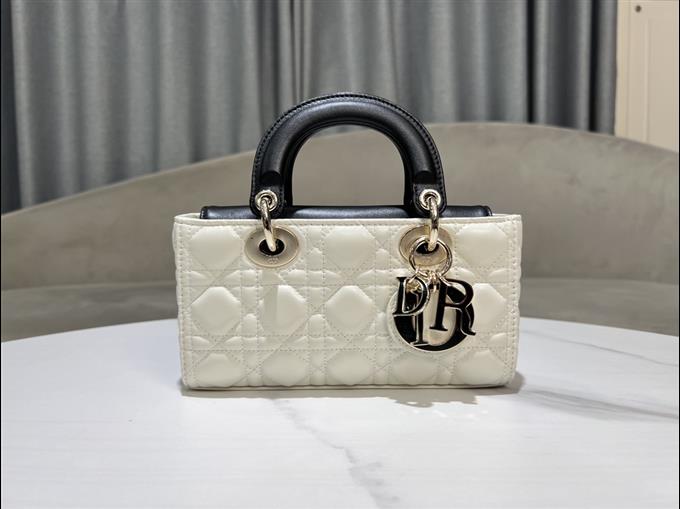 2025228Y700P204515481