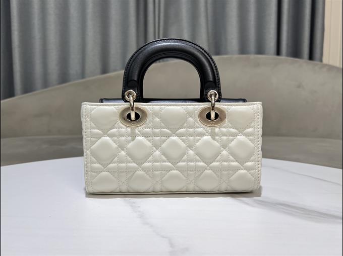 2025228Y700P204515497