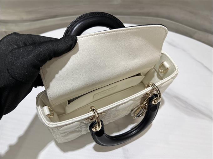 2025228Y700P204515575