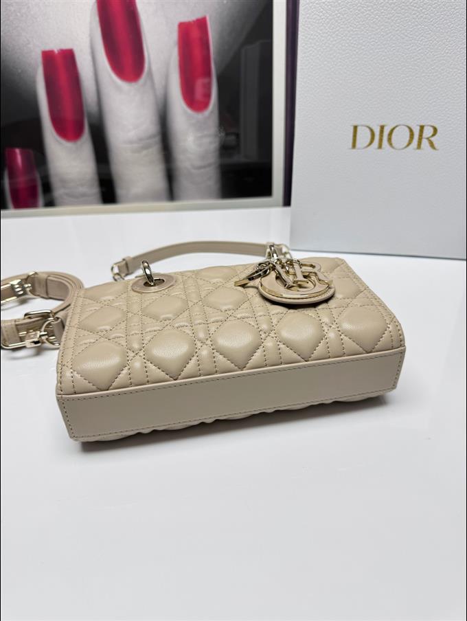 2025228Y750P20445163