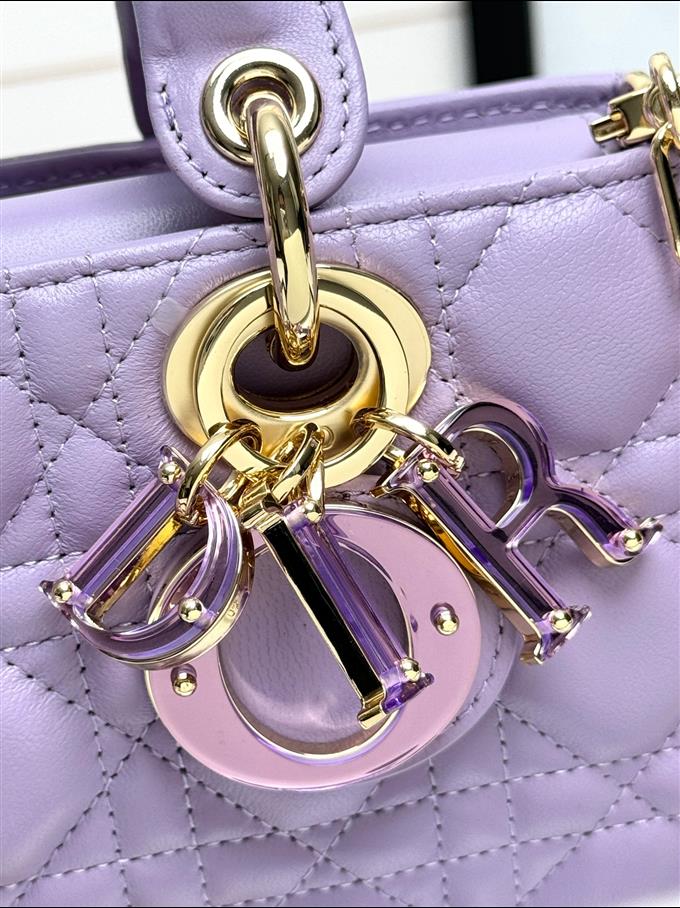 2025228Y750P204516172