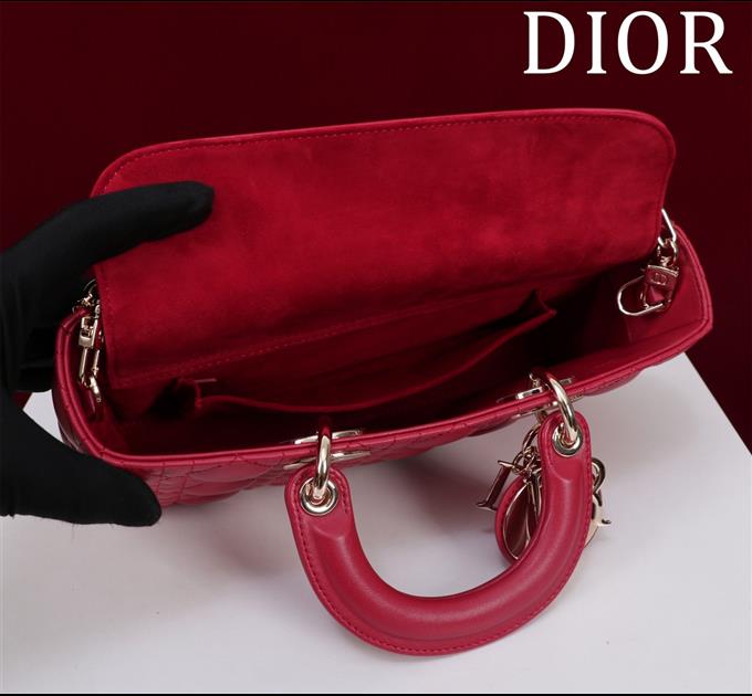 2025228Y780P20442913