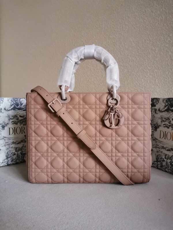 2025228Y880P205910502