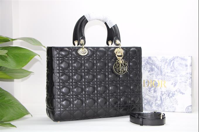 2025228Y880P20599794