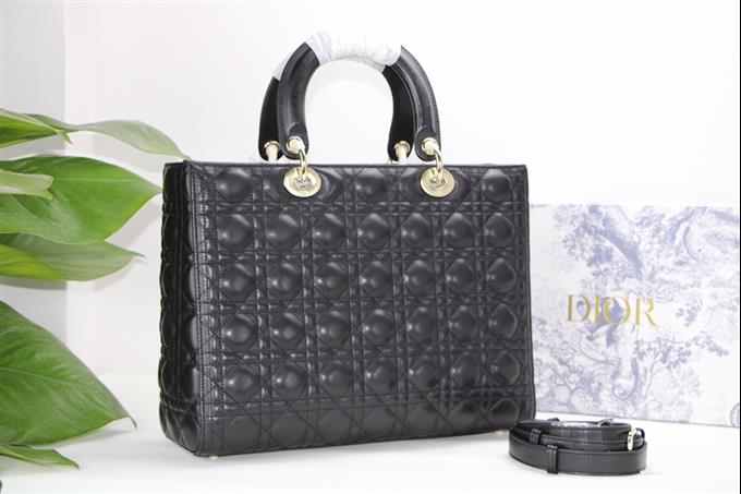 2025228Y880P20599810