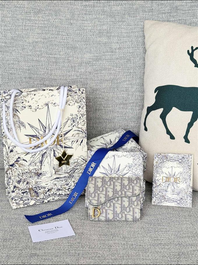 2025228Y290P182138650