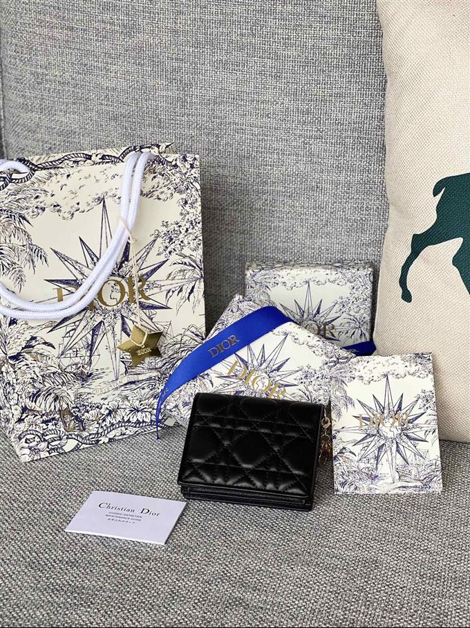 2025228Y310P203710361