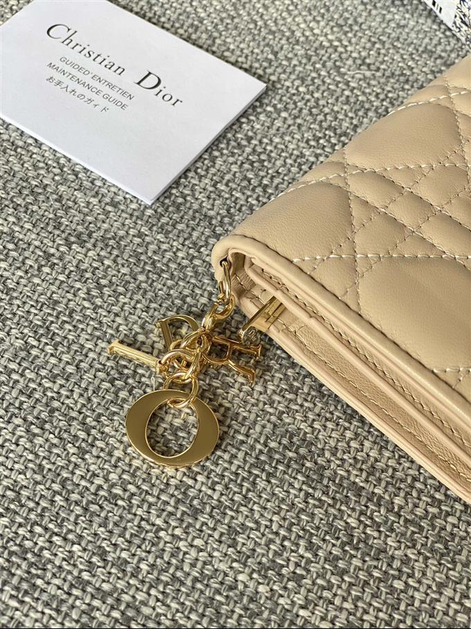 2025228Y310P203710551