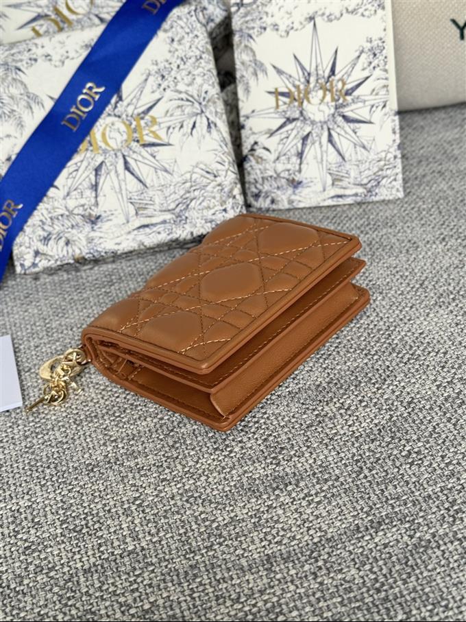 2025228Y310P20379531