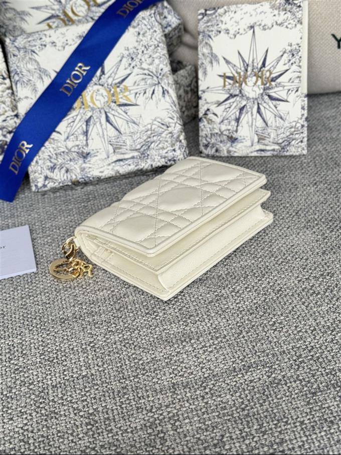 2025228Y310P20379674