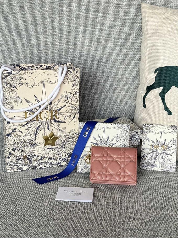 2025228Y310P20379785