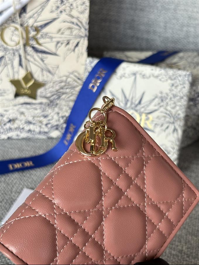 2025228Y310P20379848