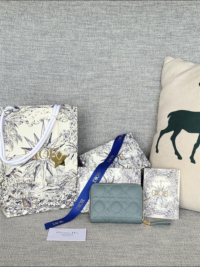 2025228Y330P203712345