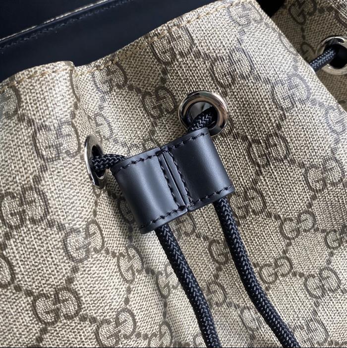 202529C495563N164019449