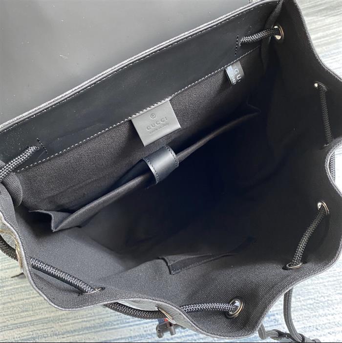 202529C495563N164019605