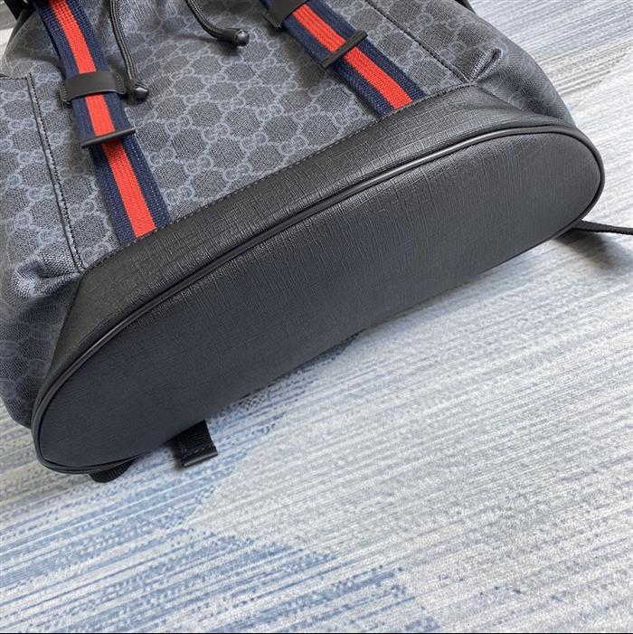 202529C495563N164019652