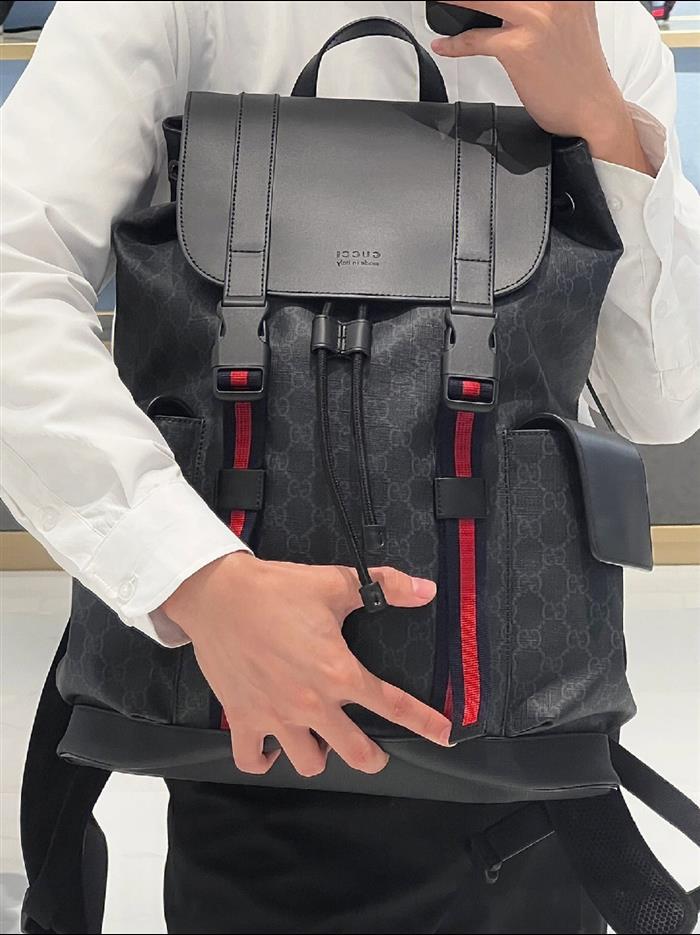 202529C495563N164019906