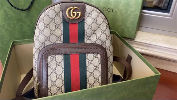 202529C547965N164019999